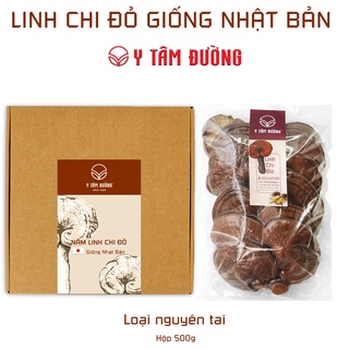 Nấm linh chi đỏ Nhật Bản thượng hạng