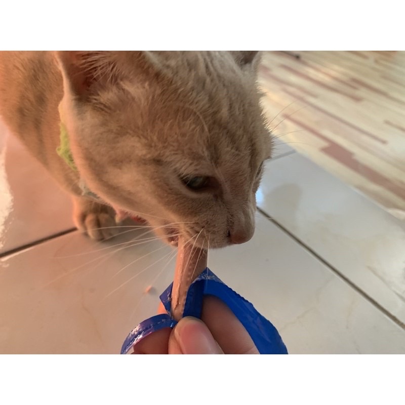 Xúc xích dinh dưỡng dành cho chó mèo hamster thơm ngon bổ dưỡng - Thức ăn chó mèo thơm ngon