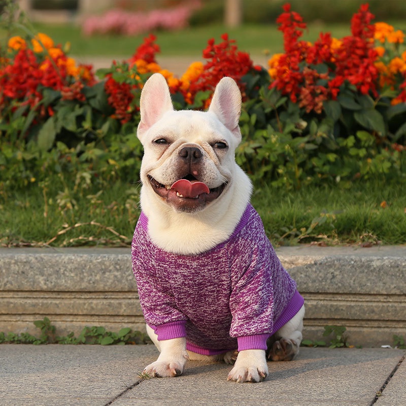 Áo Sweater Thiết Kế Đơn Giản Thoáng Khí Mềm Mại Thời Trang Cho Thú Cưng