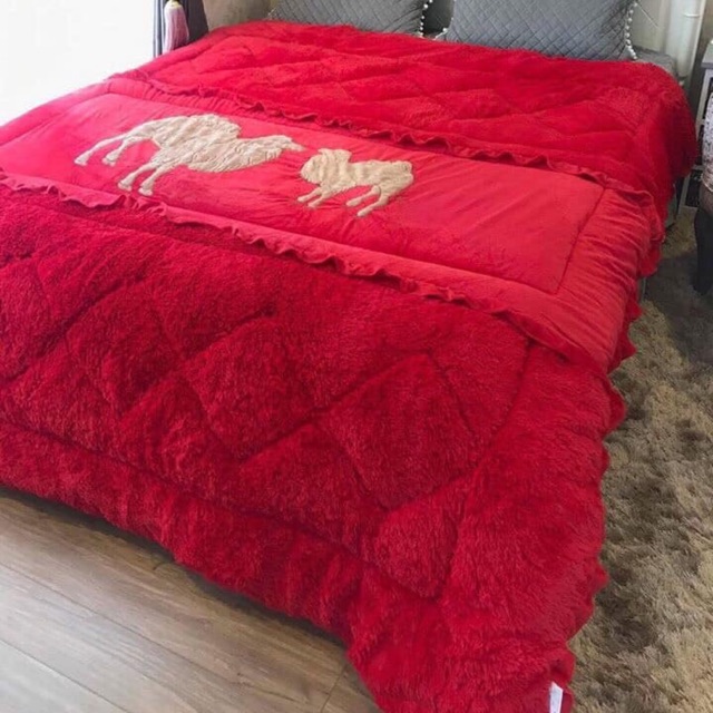 Chăn cừu cao cấp