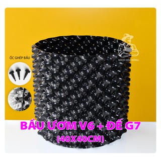 BẦU ƯƠM V6 + ĐẾ G7 (Đường kính 40cm x Cao 40cm )  - combo kèm đinh ốc