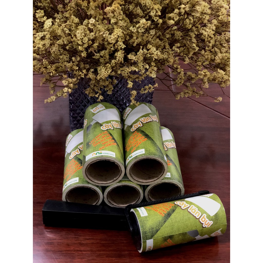 Cây lăn bụi 60 lớp