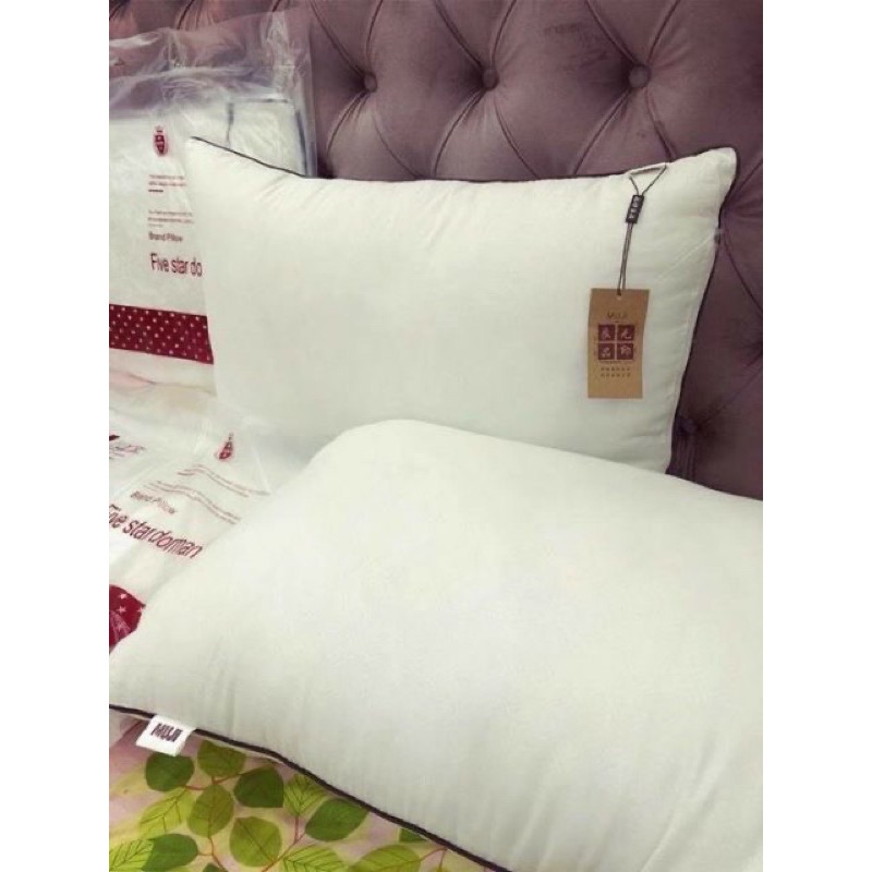 gối Gòn cao cấp muji 45x65 1cặp 2 cái