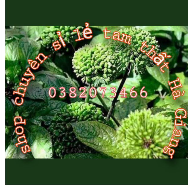 KHO CHUYÊN SỈ LẺ TAMTHẤT