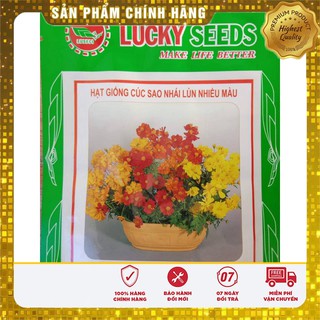 COMBO 10 gói hạt giống hoa cúc sao nhái lùn LUCKY TẶNG 1 phân bón