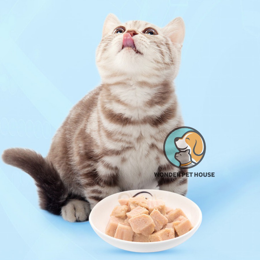 Pate Wanpy Premium Mousse Hộp 40g Cho Mèo - Siêu ngon hấp dẫn cho mèo