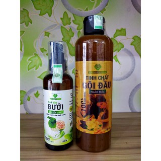 Combo chăm sóc tóc thiên nhiên Mẹ Ken-Gồm dầu gội 250ml và tinh bưởi 100ml