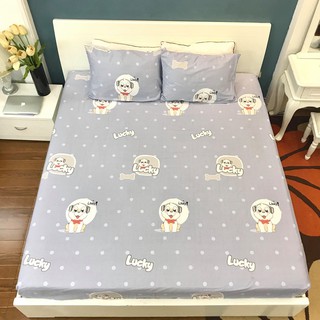 Ga lẻ chất coton 100% kèm đôi vỏ gối