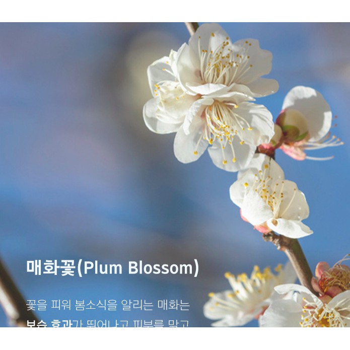 MBC Tẩy da chết Mamonde Aqua Peel Peeling Gel | BigBuy360 - bigbuy360.vn