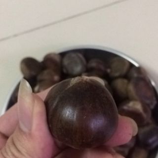Combo 5kg hạt dẻ tươi Giá sỉ
