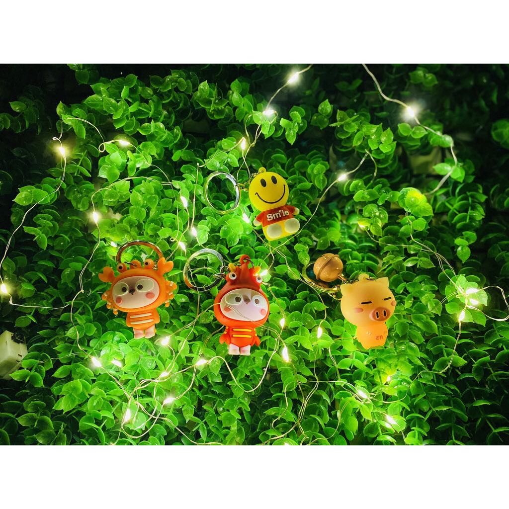 Dây đèn Led đom đóm trang trí hộp quà, hoa dây dài 1m-2m-3m dùng pin có sẵn