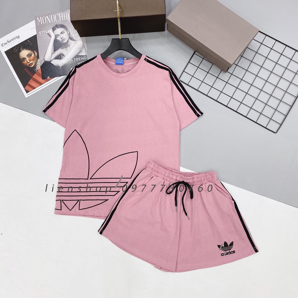 BỘ COTTON ĐÙI PHỐI 3 LÁ HÔNG ÁO BẢNG 4 MÀU CHO NỮ ...