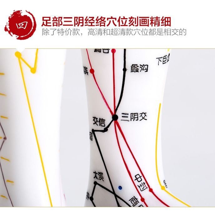 ◇❄Mô Hình Châm Cứu Cơ Thể Người Bằng Đồng Thau Kiểu Trung Hoa