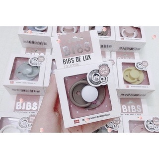 Ti ngậm Bibs silicone (0 - 3 tuổi)