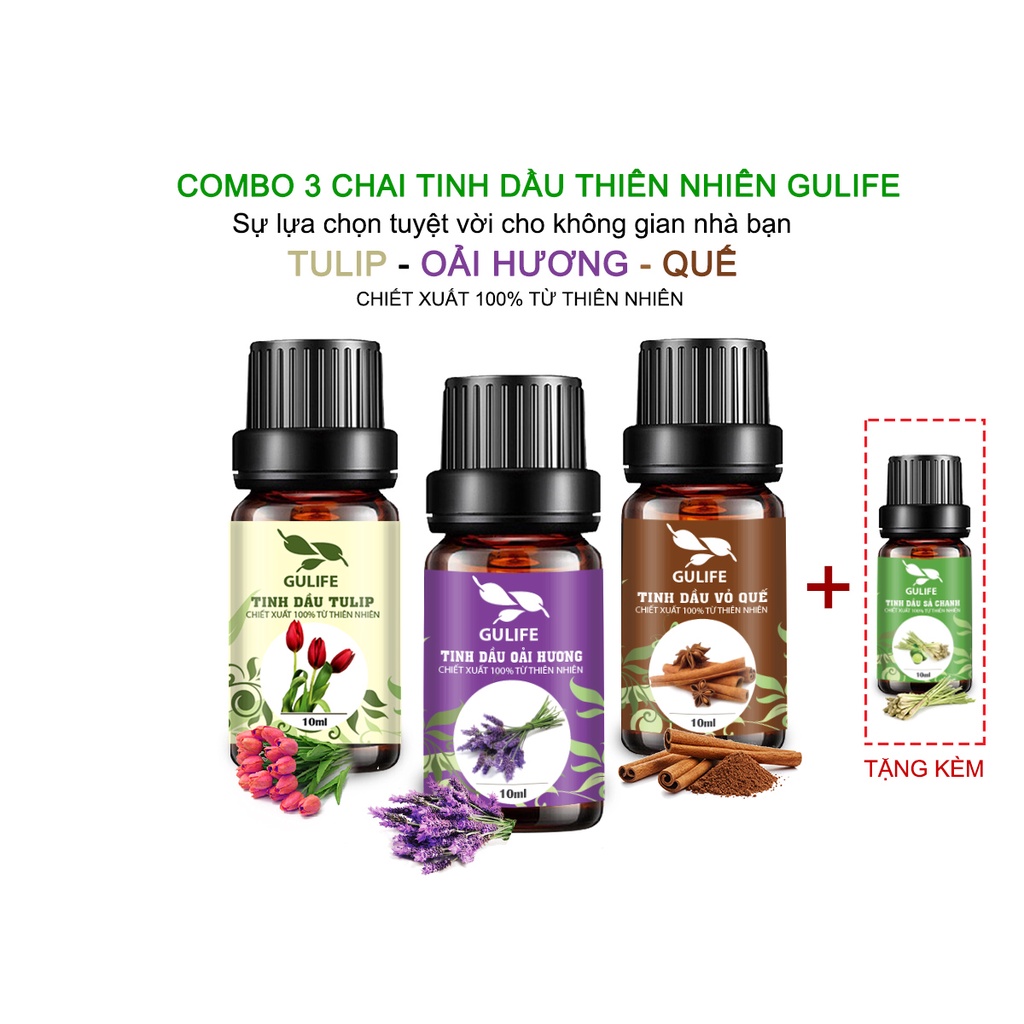 Combo 3 Lọ Tinh Dầu Chiết Xuất Từ Thiên Nhiên GULIFE - Giảm Căng Thằng, Thơm Phòng &amp; Thư Giãn