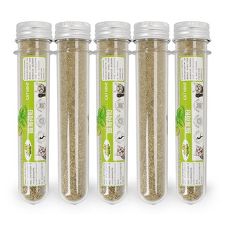 capnit ống cỏ bạc hà cho mèo