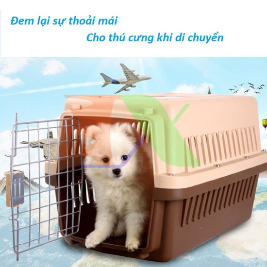 LỒNG VẬN CHUYỂN HÀNG KHÔNG DÀNH CHO THÚ CƯNG CHÓ MÈO (PET LUCKILY)