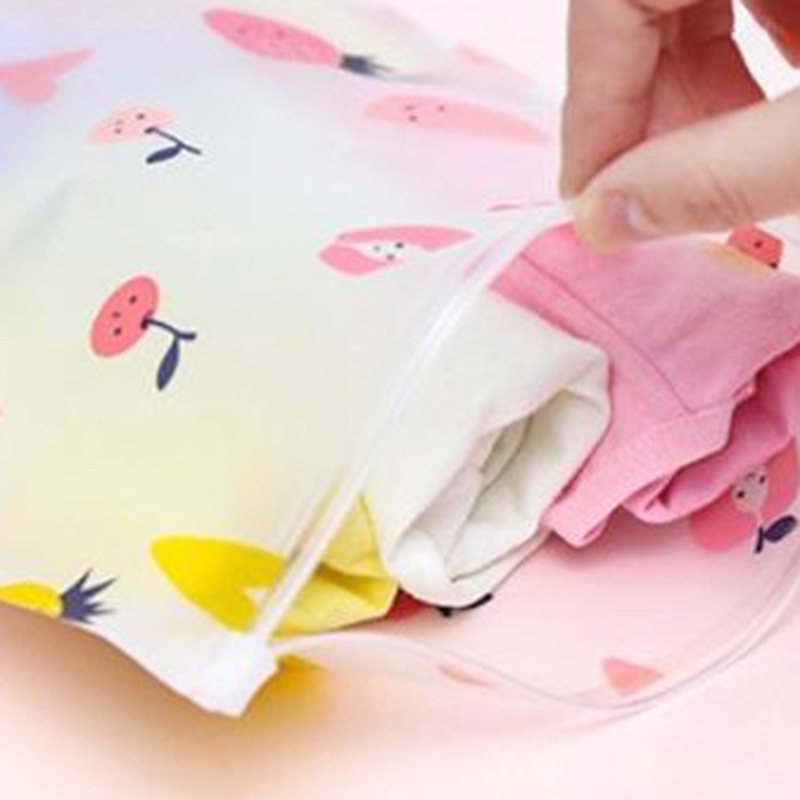 Túi Nhựa Khóa Zip Trong Suốt Họa Tiết Trái Cây
