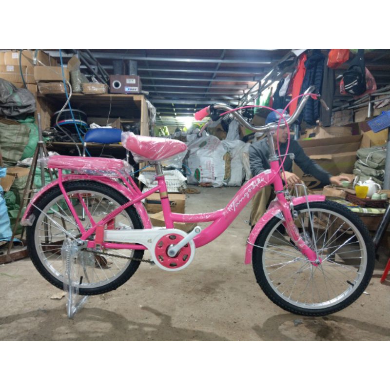 Xe đạp 20 inch cho bé gái cấp 1 ( 6- 10 tuổi) hàng công ty chắc khỏe