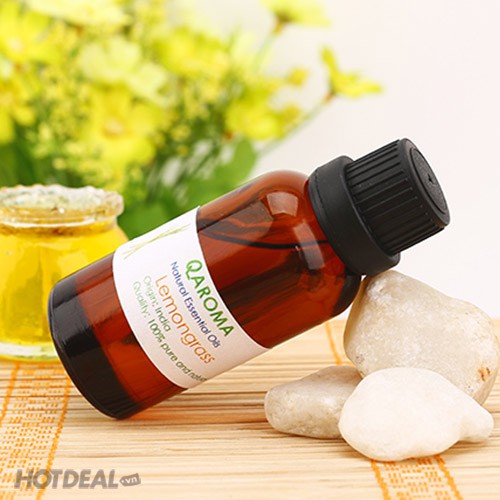 [COMBO 5] 3 CHAI TINH DẦU 10ML - SẢ CHANH + 1 LAVENDER + 1 TRÀ TRÀM hương thơm dịu mát, thư giãn, dễ chịu vô cùng