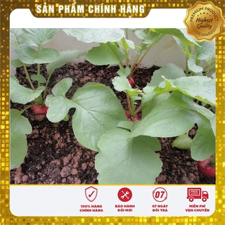 Hạt Giống Củ Cải Tròn Đỏ ( gói 5 gram)