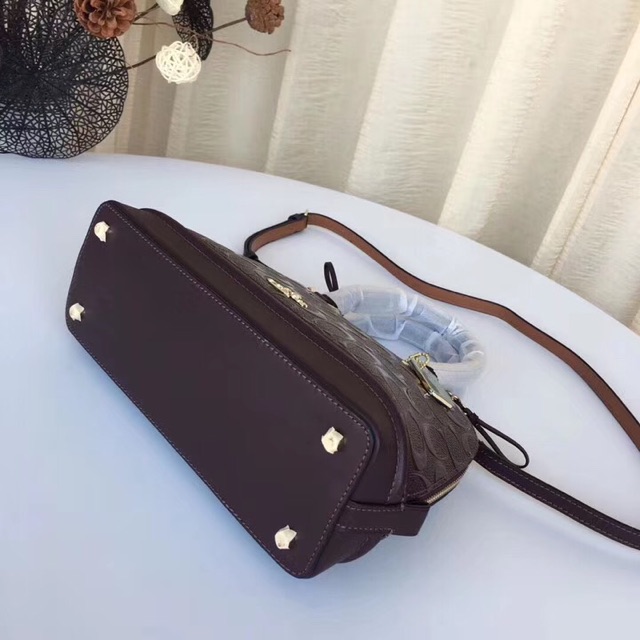 🔥TÚI COACH HẾN F27597