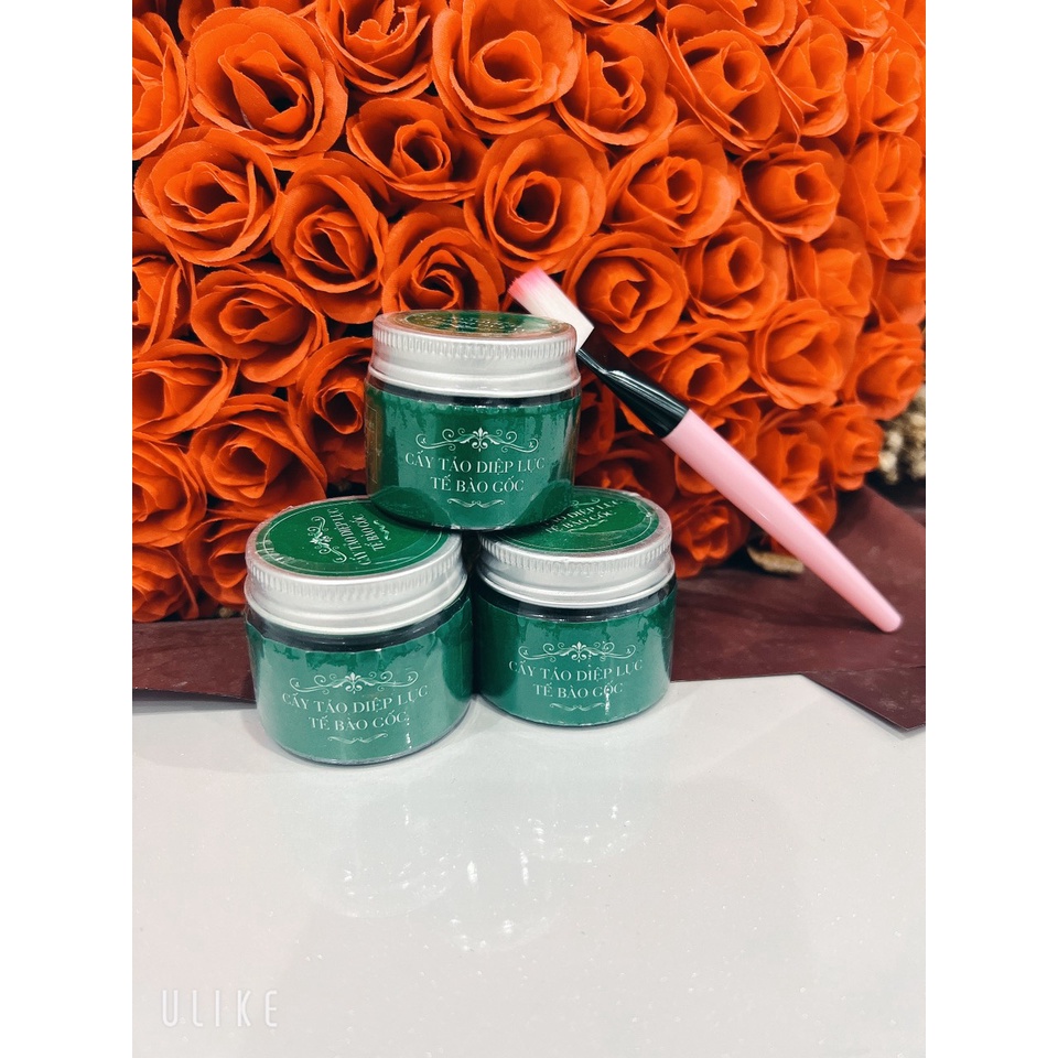 Combo 3 cấy tảo diệp lục tế bào gốc tặng thìa