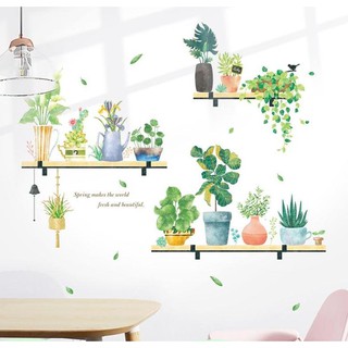Decal dán tường kệ chậu cây hoa lá