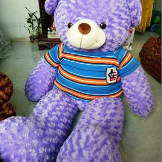 Gấu teddy 1m6