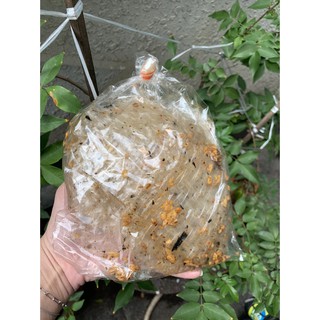 100gr bánh tráng muối tỏi rong biển siêu ngon