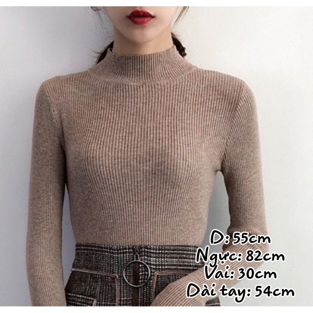 Áo Len Tăm Cổ Cao 3 Phân _ Hàng Quảng Châu N31A65 | BigBuy360 - bigbuy360.vn