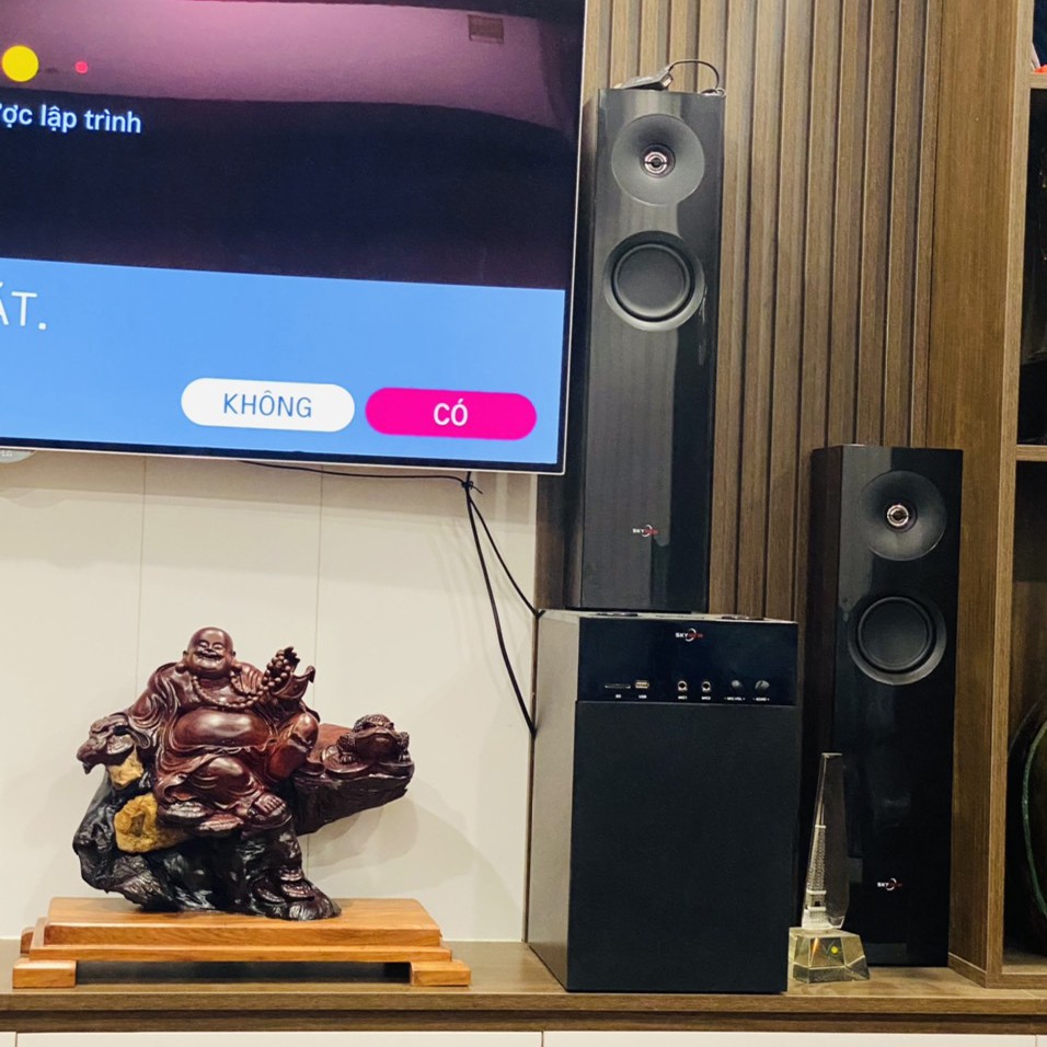 Loa Bluetooth để kệ TV Skynew SKN-325 vân gỗ, tích hợp bluetooth hát karaoke, âm thanh siêu Bass