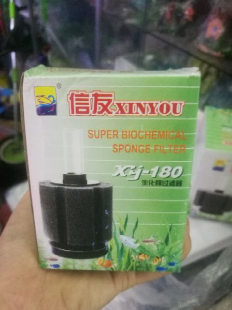 Sủi oxy bio - lọc vi sinh cho hồ cá cảnh