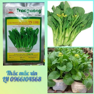 100gr hạt giống cải ngồng ngọt Trang Nông TN1103