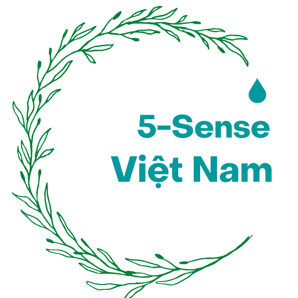 5sense