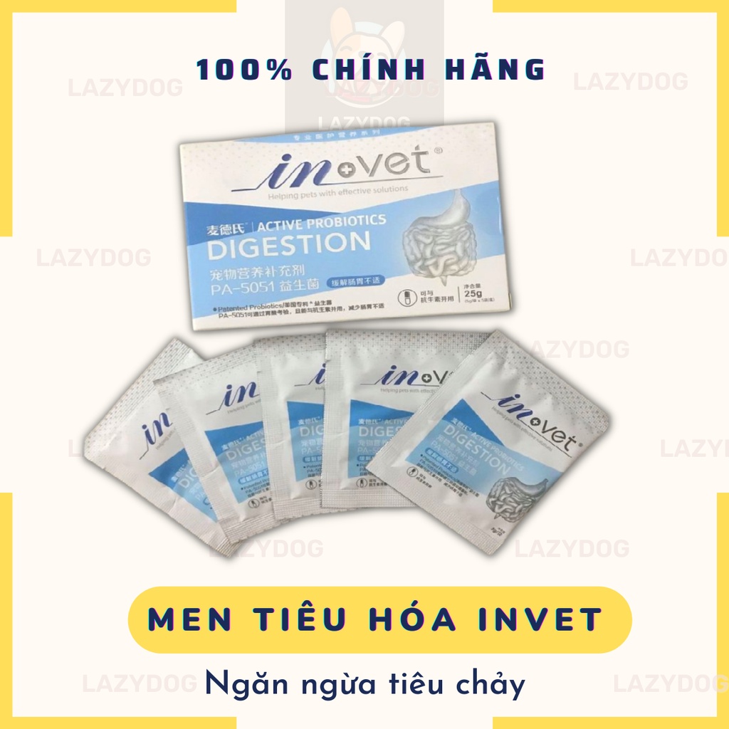 Combo 5 gói Men vi sinh hỗ trợ tiêu hóa cho chó mèo InVet Active Probiotics 5g