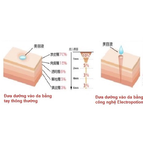 Máy massage thon gọn, đẩy dưỡng Belulu Rebirth màu hồng bản mới nhất