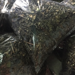 2 kí Chè vằng