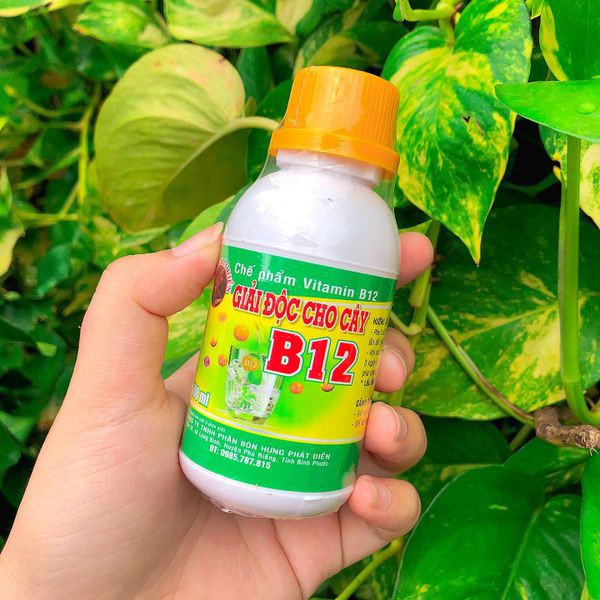 Vitamin B12 giải độc cho cây trồng chai 100ml