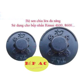 Đầu đốt chia lửa bếp Rinnai Nhật 8600 và 4600 sản xuất tại Nhật Bản