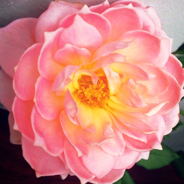 Sỉ lẻ mỹ phẩm Bình Chánh