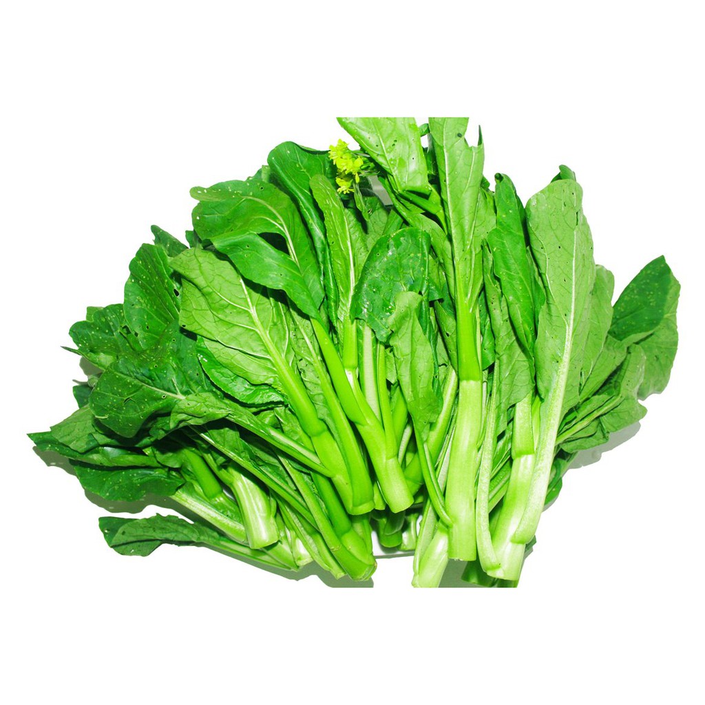 Hạt Giống Cải Ngồng Mập  - Giòn, Ngon , Ngọt - MUA 3 TẶNG 1 CÙNG LOẠI