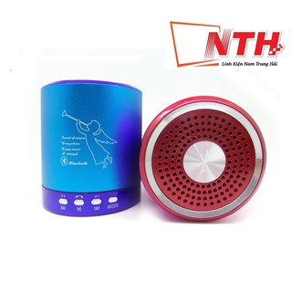 Loa di động T2020