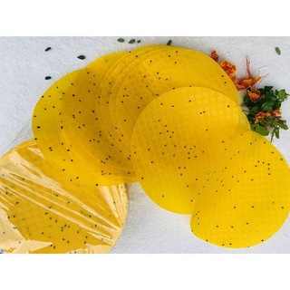 500g vỏ bánh tráng nướng vàng +- 21 chiếc