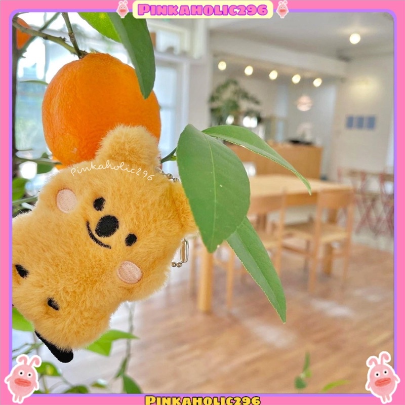 CÓ SẴN - KOALA BÔNG XÙ TÍ HON 5x10CM