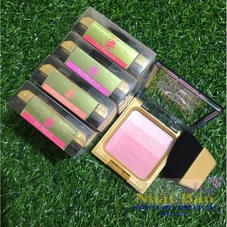 PHẤN MÁ CAO CẤP GRADATION CHEEK EXCEL