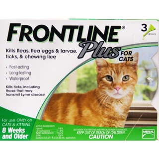 Nhỏ gáy Frontline trị ve, rận, bọ chét cho mèo