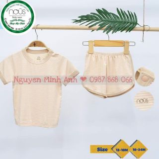 BỘ CVC PETIT KẺ VÀNG NHẠT TRẮNG NOUS 2020
