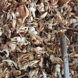 GHẸ SỮA RAM 200g Nha Trang