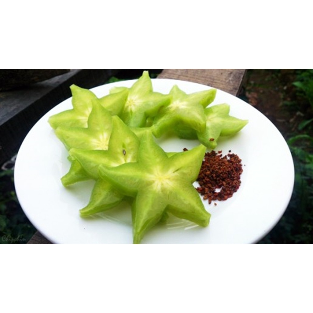 Hạt giống Khế chua - Tặng gói kích nảy mầm